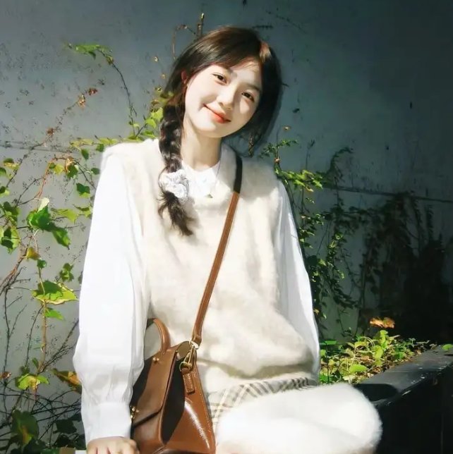 萧家有女固山河